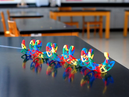 3D εκτυπωμένη αναπαράσταση του DNA